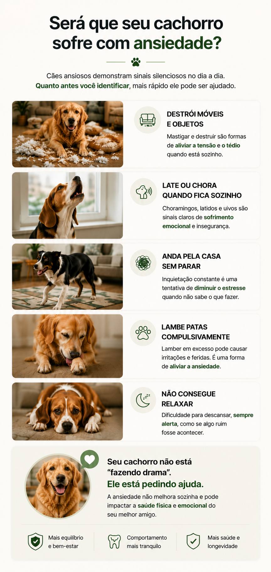 Diagnóstico — Sinais de ansiedade no seu cão