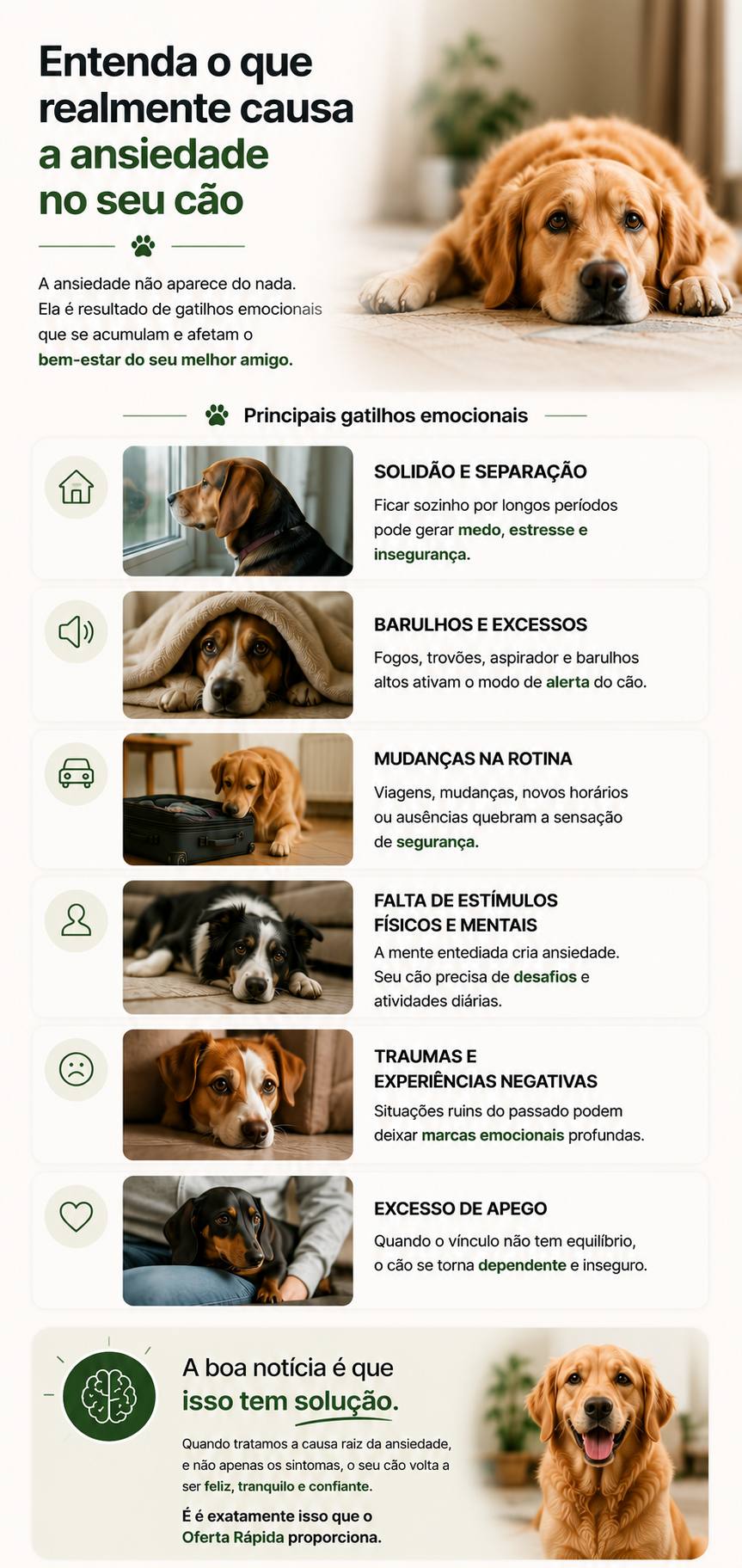 Causas da ansiedade canina — entenda o que acontece